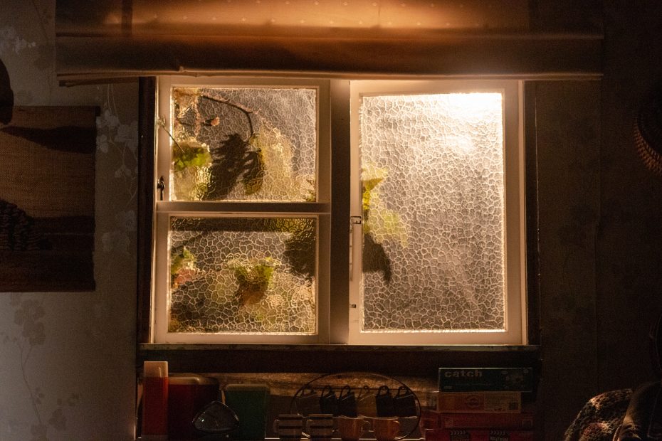 A picture of a window lit from behind, shadows of leaves on the glass